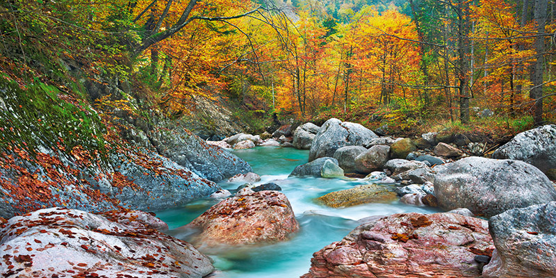 Frank Krahmer, Mountain brook and rocks, Carinthia, Austria
