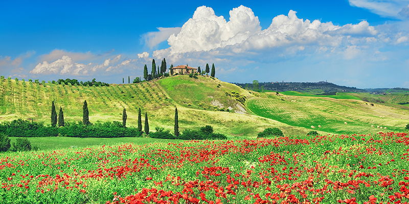 Frank Krahmer, Farmhouse with Cypresses and Poppies, Val d'Orcia, Tuscany