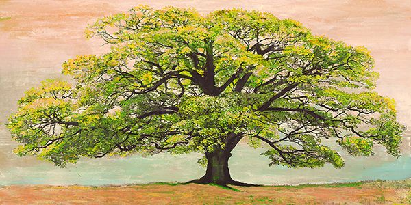 Jan Eelder, Green Oak