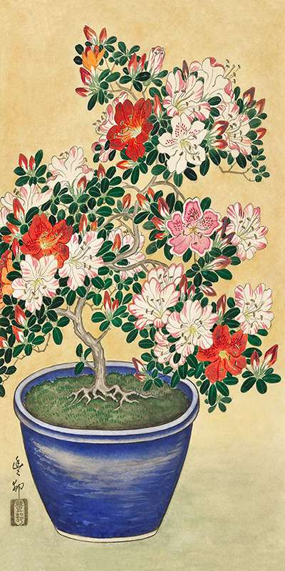 Ohara Koson, Blooming azalea in blue pot