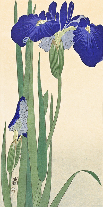 Ohara Koson, Irises