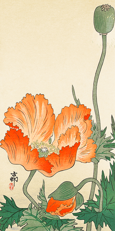 Ohara Koson, Poppies