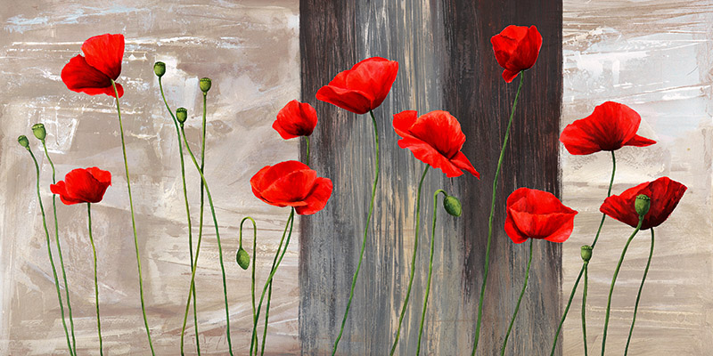 Jenny Thomlinson, Country Poppies