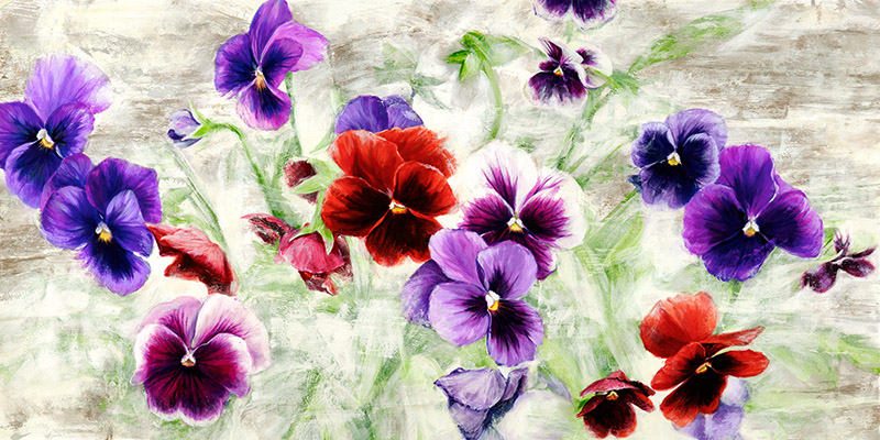 Jenny Thomlinson, Field of Pansies