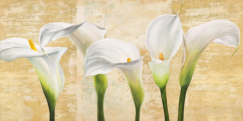 Jenny Thomlinson, Callas on Gold (neutral variation)