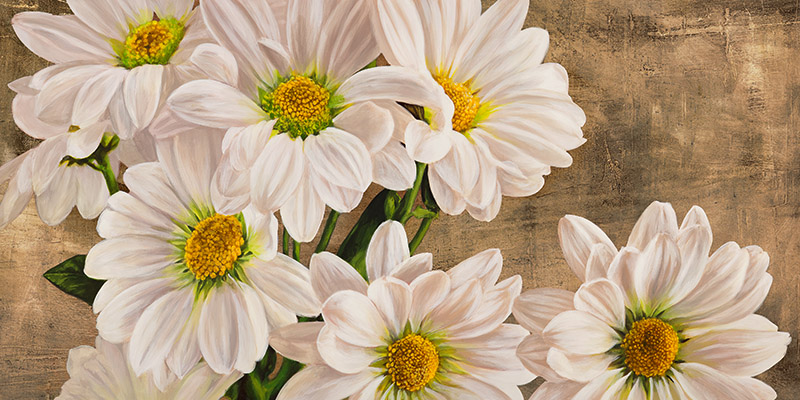 Jenny Thomlinson, Daisies in the Moonlight