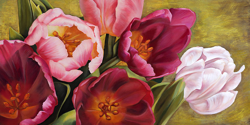 Jenny Thomlinson, My Tulips