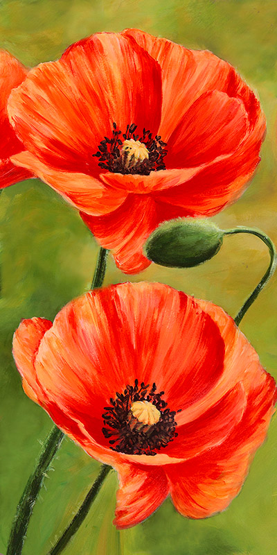 Luca Villa, Poppies in the wind II