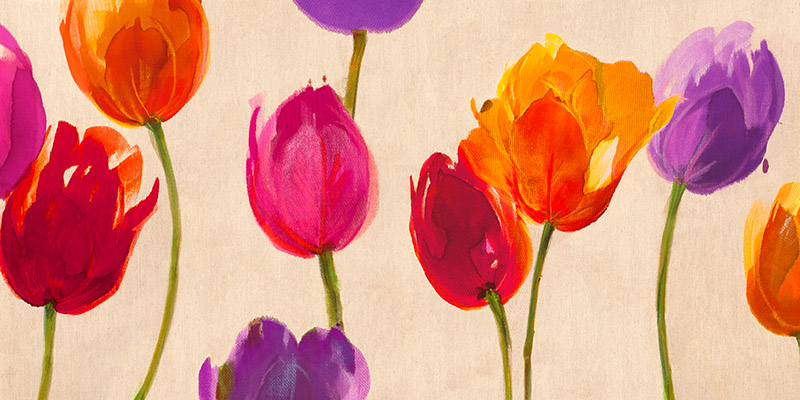 Luca Villa, Tulips & Colors