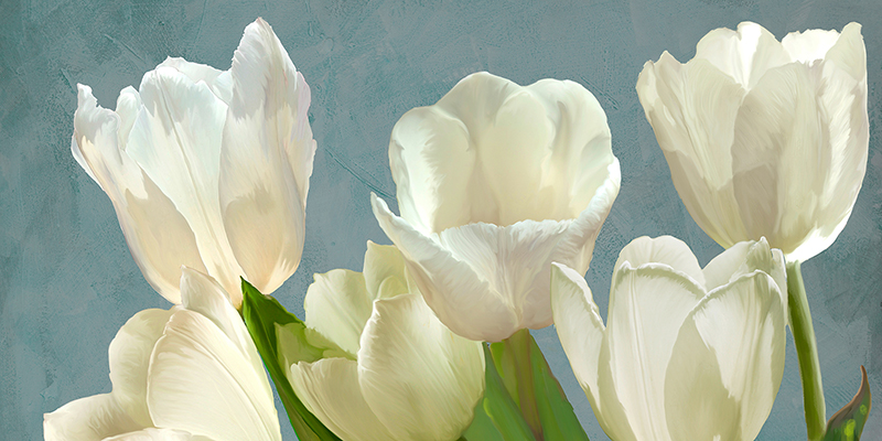 Luca Villa, White Tulips on Blue