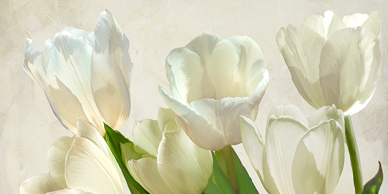Luca Villa, White Tulips (detail)