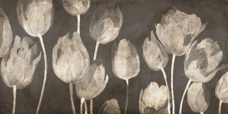 Luca Villa, Washed Tulips