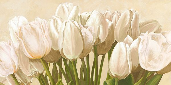 Luca Villa, Off White Tulips