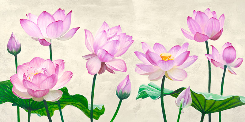 Shin Mills, Lotus Flowers