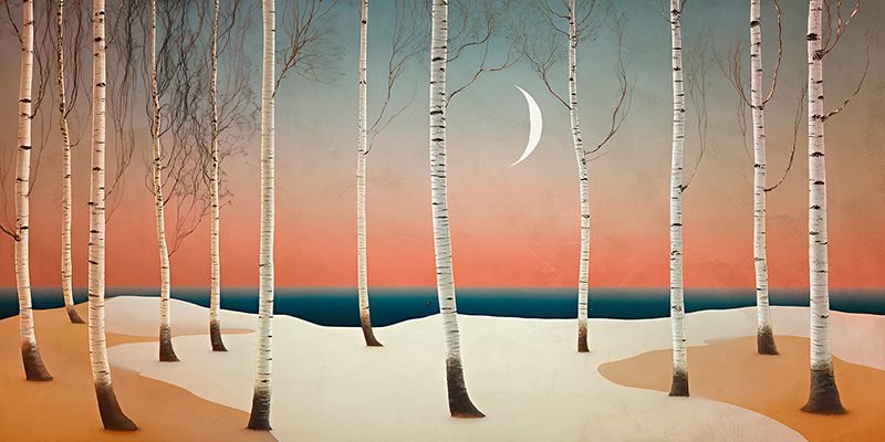 Sayaka Miko, Moonlight on the Birch Forest