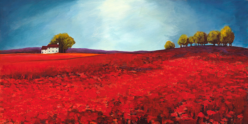 Philip Bloom, Field of poppies