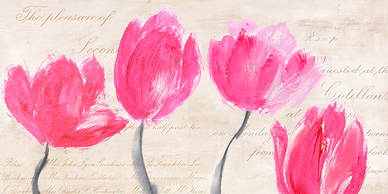 Muriel Phelipau, Classic Tulips