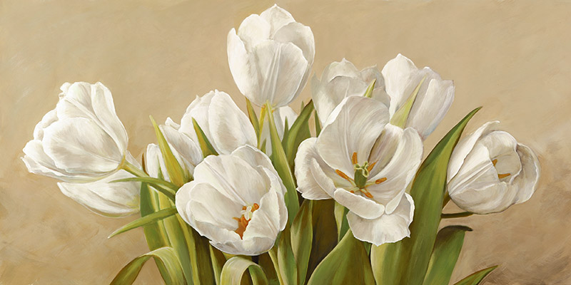 Serena Biffi, Tulipani bianchi