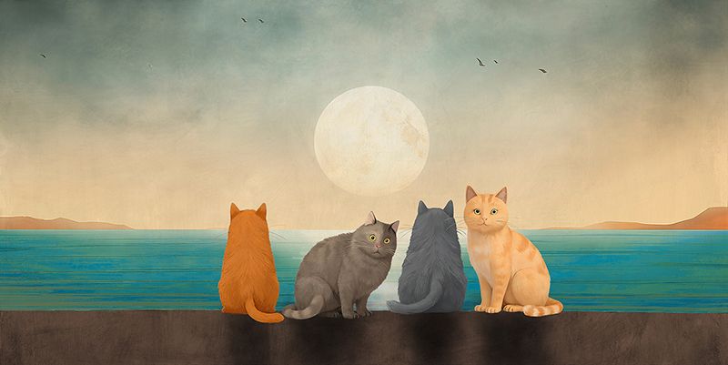 Stef Lamanche, Under the Moon