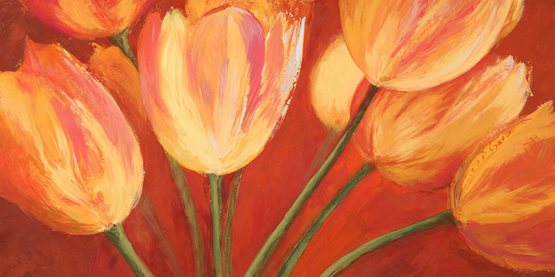 Silvia Mei, Orange Tulips