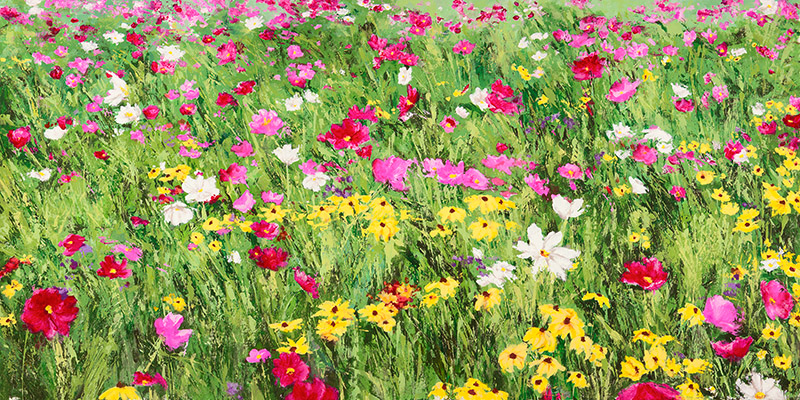 Silvia Mei, Field of Flowers