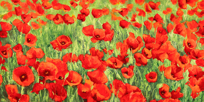 Silvia Mei, Poppy Field