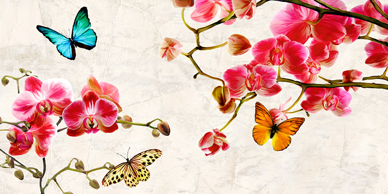 Teo Rizzardi, Orchids & Butterflies