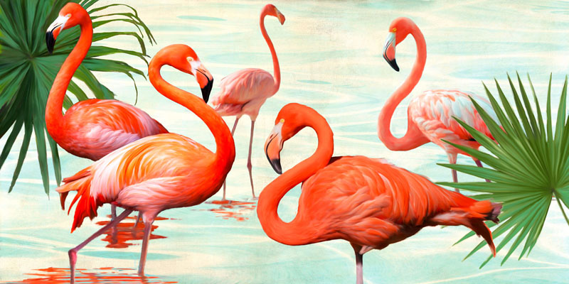 Teo Rizzardi, Flamingos