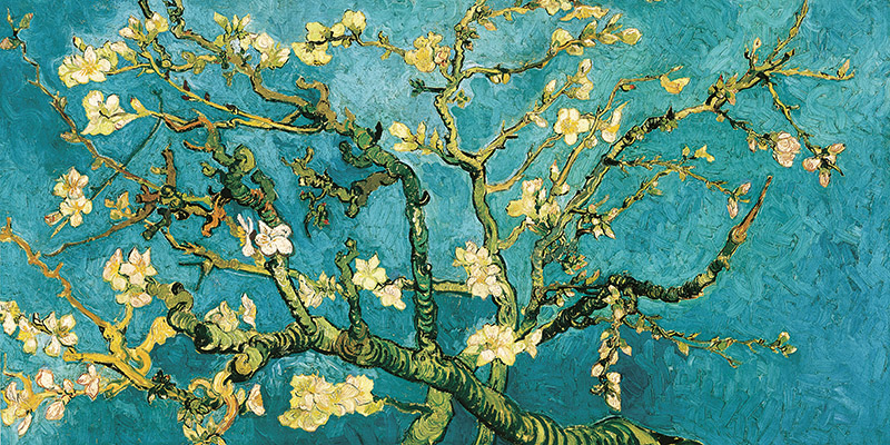 Vincent van Gogh, Mandorlo in fiore (detail)