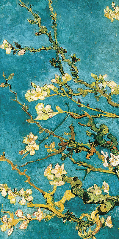 Vincent van Gogh, Mandorlo in fiore I