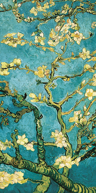 Vincent van Gogh, Mandorlo in fiore II