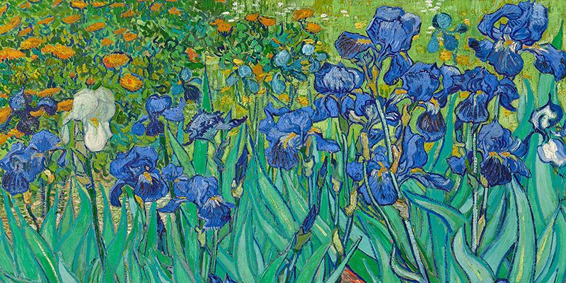 Vincent van Gogh, Irises (detail) 