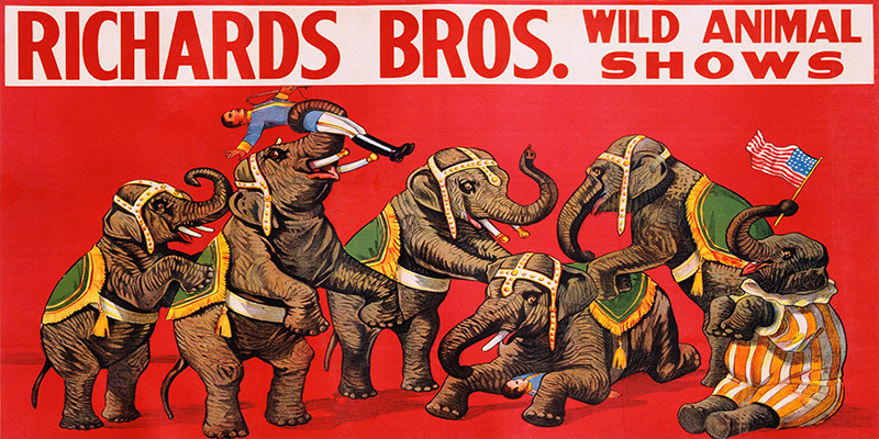 Anonymous, Richards Bros. Wild Animal Shows, ca. 1925