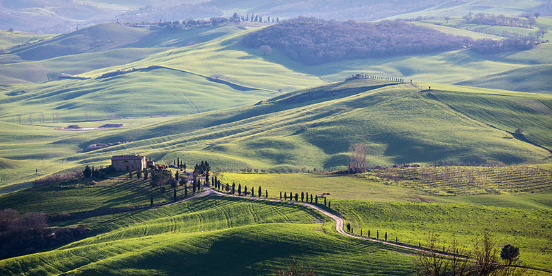 Vadim Ratsenskiy, A road in Tuscany