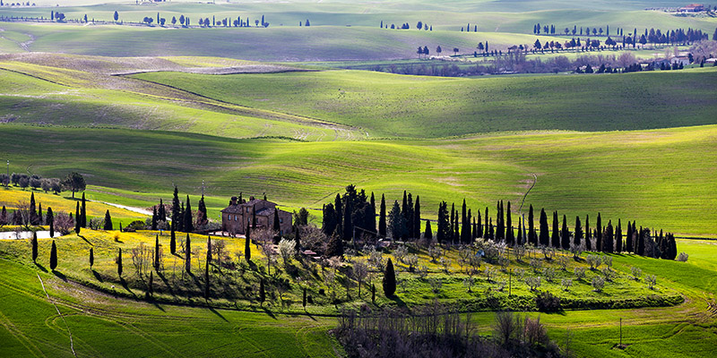 Vadim Ratsenskiy, Country houses in Tuscany