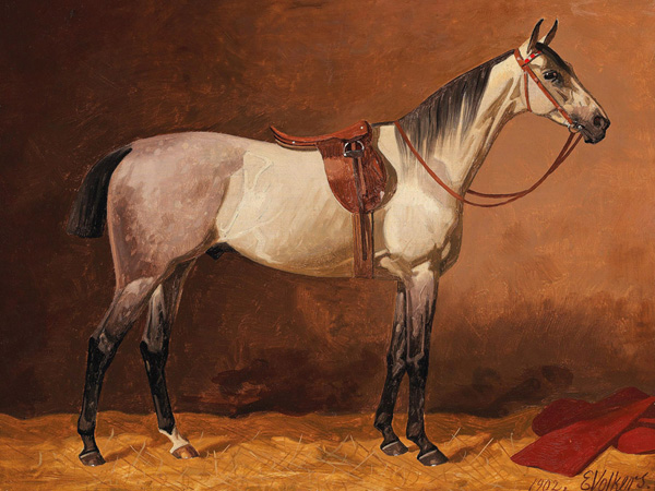 Emil Volkers, Saddled sport horse