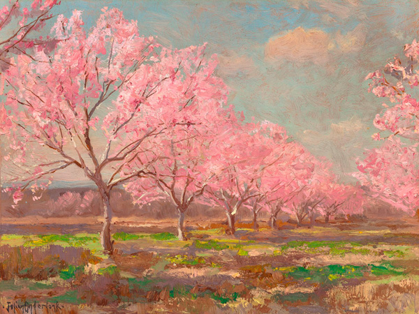 Julian Onderdonk, Peach orchard on Mavericks farm