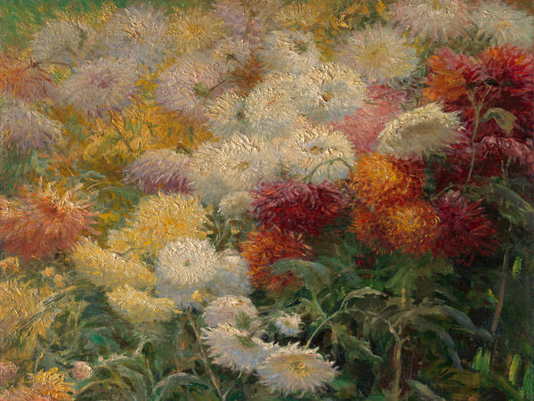 Gustave Caillebotte, Chrysanthemums in the Garden at Petit-Gennevilliers
