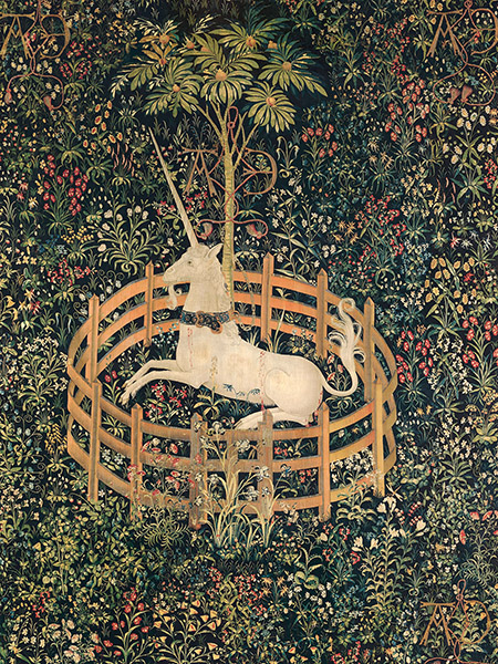 Anonymous, Unicorn in Captivity