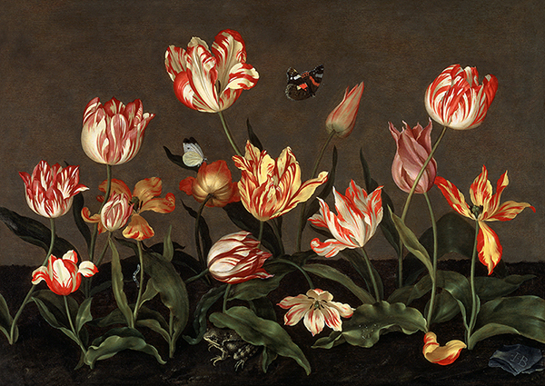 Johannes Bosschaert, Still Life with Tulips