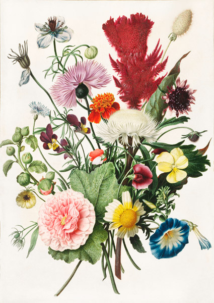 Anonymous, Bouquet of Flowers