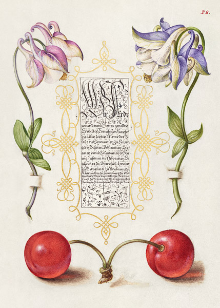 Bocskay Hoefnagel, From the Model Book of Calligraphy, III