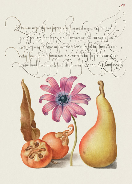 Bocskay Hoefnagel, From the Model Book of Calligraphy, VIII
