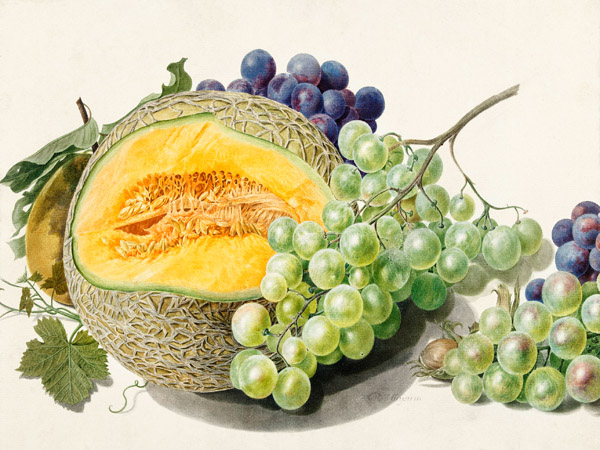 Michiel van Huysum, Fruits II