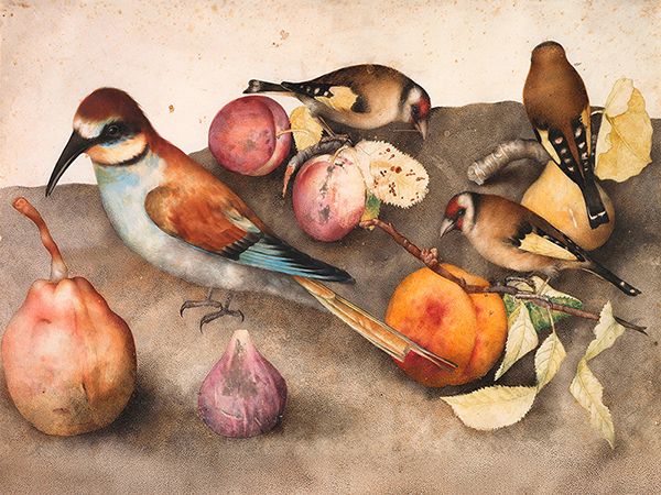 Giovanna Garzoni, Still Life with Birds and Fruit, c. 1650