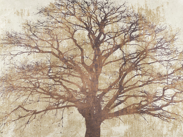 Alessio Aprile, Sacred Oak