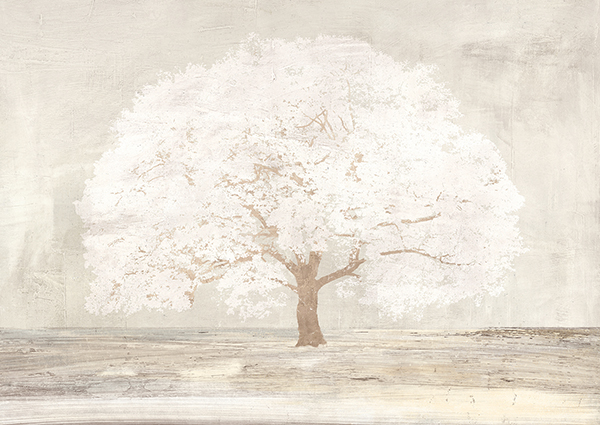 Alessio Aprile, Pale Tree