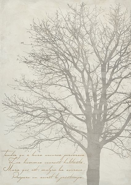 Alessio Aprile, Gautier's Tree II