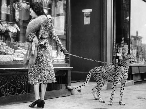 Anonymous, Elegant Woman with Cheetah