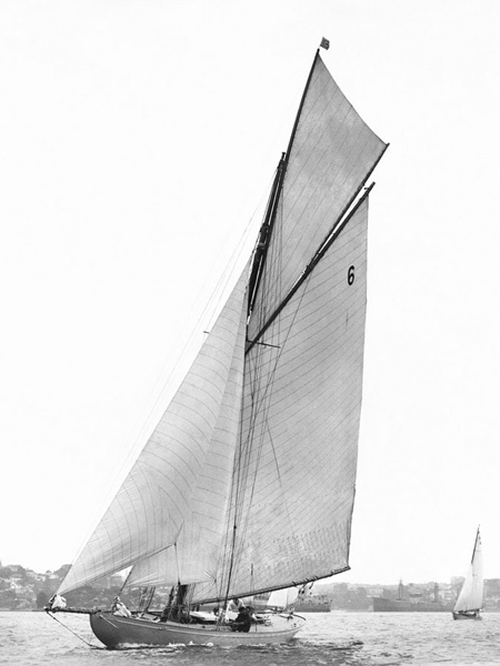 Anonymous, Sailing in Sydney Harbour